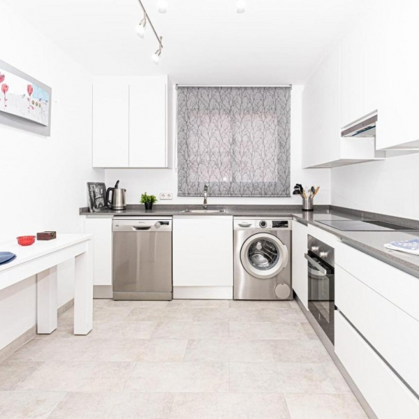 The kitchen with stove, washing machine and dishwasher